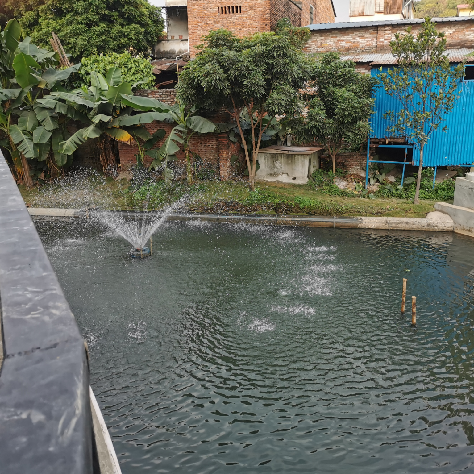 yl23455永利助力顺德打赢黑臭水体攻坚战