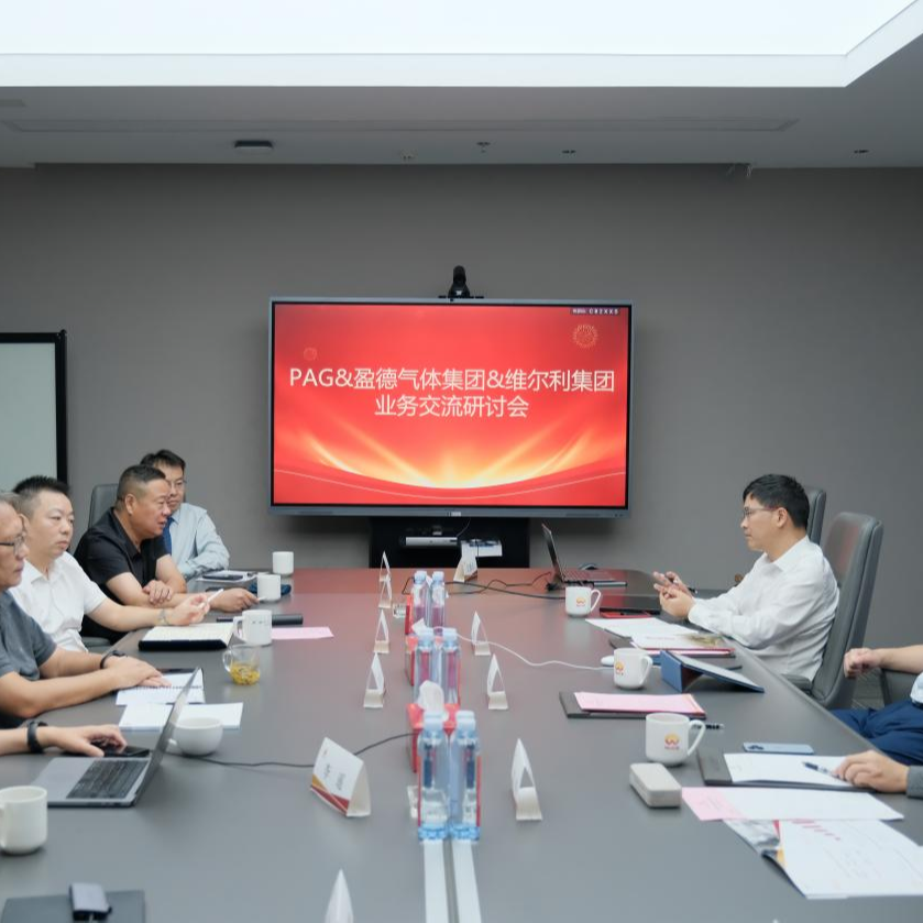 PAG、盈德气体集团与yl23455永利环保集团座谈