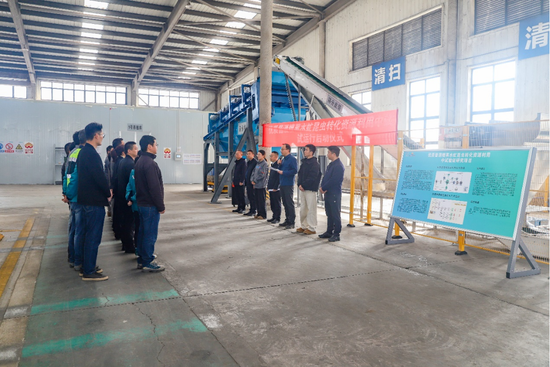 yl23455永利酱酒糟黑水虻转化中试项目启动试运行