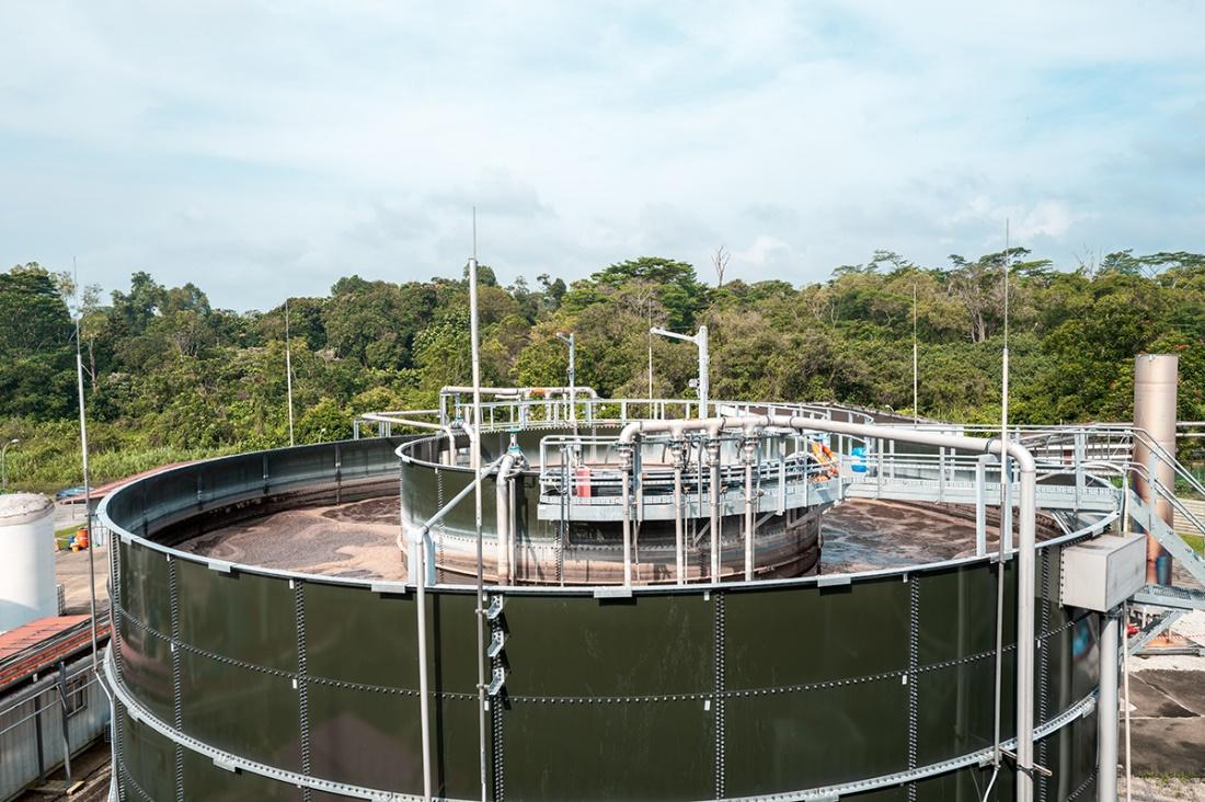 yl23455永利成功签约新加坡生物能源项目