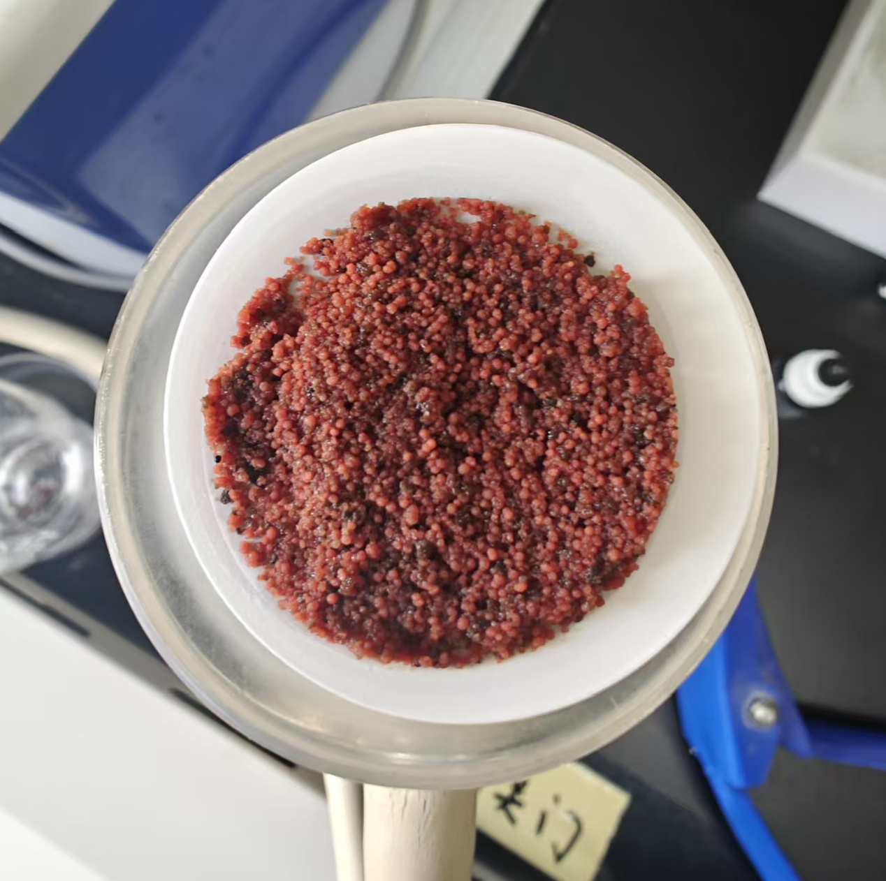 年节碳源超300吨，yl23455永利西安江村沟项目厌氧氨氧化工艺实现生态经济双赢